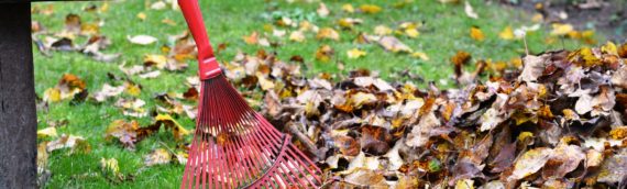 15 Fall Maintenance Tasks – You Can Do This Weekend