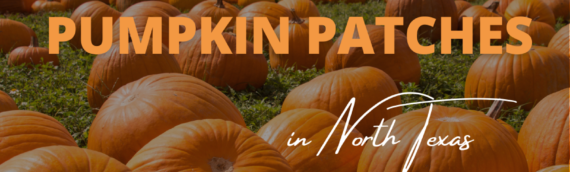 The Best Pumpkin Patches in North Texas | TSTC you there!